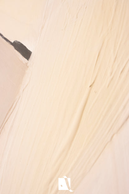 Pictură Decorativă 11