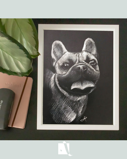 Desen portret canin bulldog francez pe hartie neagra creion alb