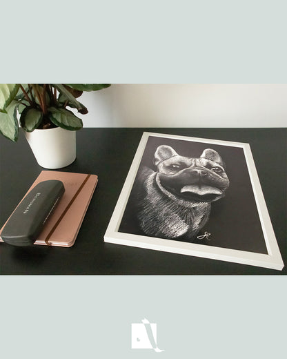 Desen portret canin bulldog francez pe hartie neagra creion alb