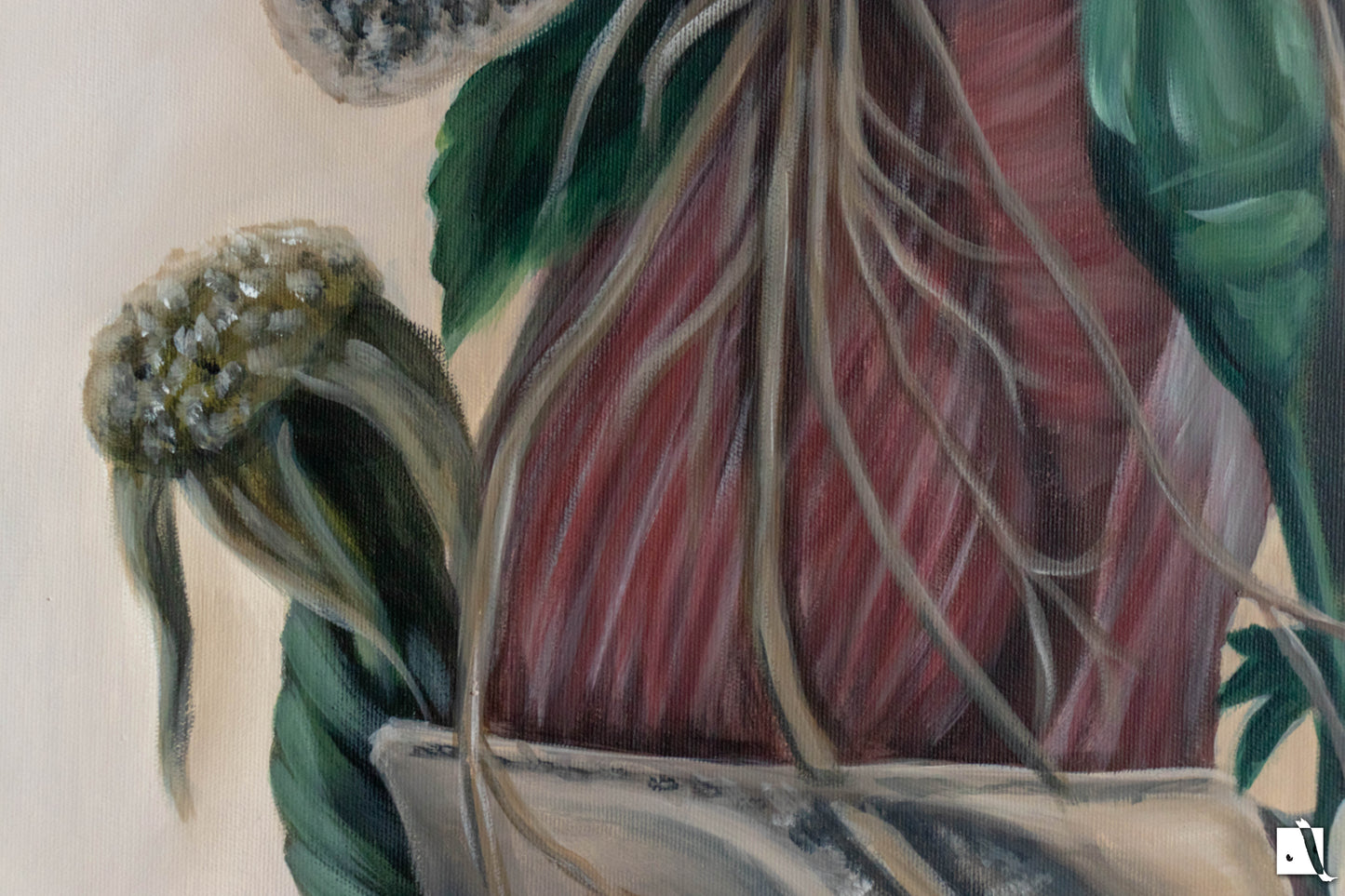Pictura surrealista structura anatomica schelet cu trandafiri detaliu 
